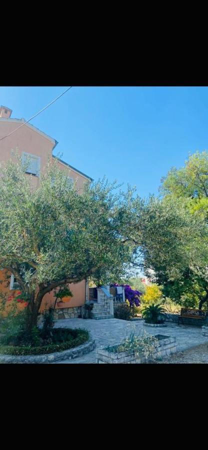 Apartman Nauplie 扎达尔 外观 照片